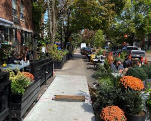 人 sitting outside at Cafe TO surrounded by trees and flowers